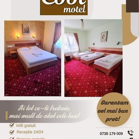Motel Cool Bărcăneşti Extérieur photo