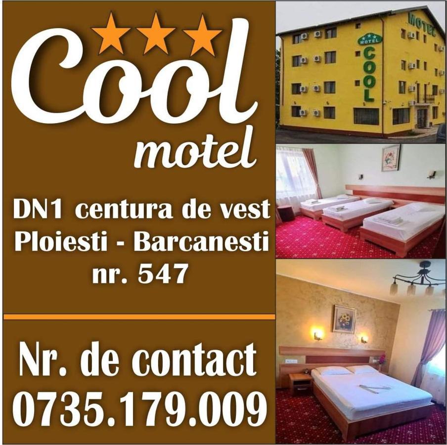 Motel Cool Bărcăneşti Extérieur photo