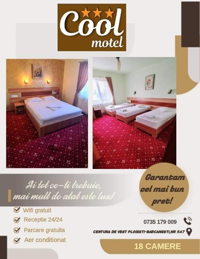Motel Cool Bărcăneşti Extérieur photo
